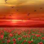 CON AMOR,FELIZ CUMPLEAÑOS