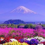 ¡ QUE BELLEZA DE TIERRA