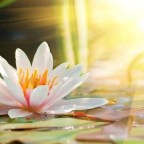 EL MUNDO ESTÁ DORMIDO