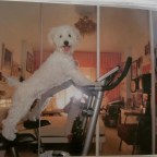 UNA ALEGRIA QUE ME LLENA